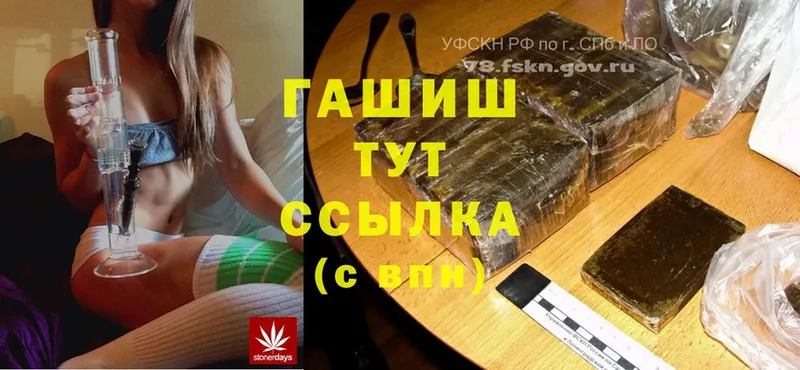 Гашиш Cannabis  Буй 