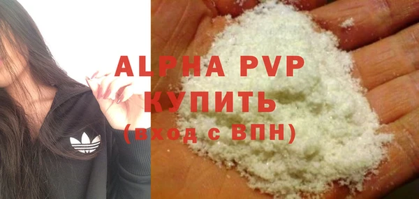 ГАЛЛЮЦИНОГЕННЫЕ ГРИБЫ Магас
