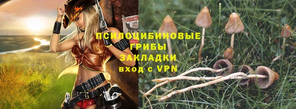 прущая мука Бородино