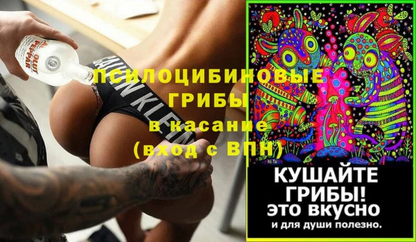 ГАЛЛЮЦИНОГЕННЫЕ ГРИБЫ Магас