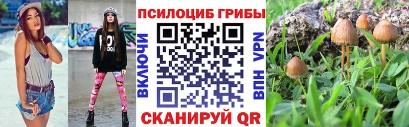Галлюциногенные грибы прущие грибы  Буй 